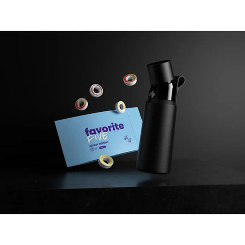 850ml Steel Bottle + Fav5 Winter Edition